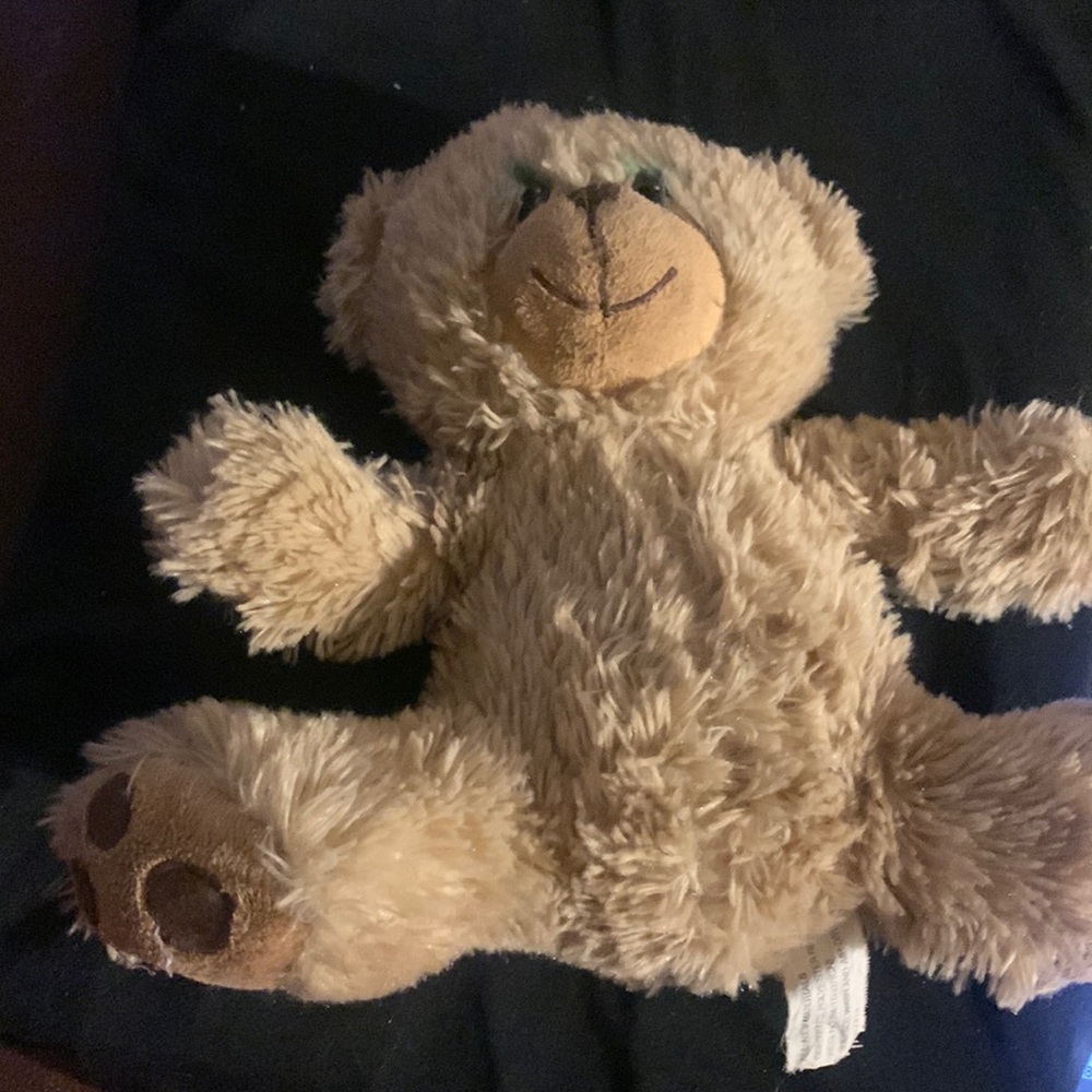 Hit wear teddy bear